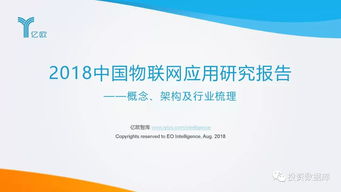 2018中國(guó)物聯(lián)網(wǎng)應(yīng)用服務(wù)研究報(bào)告 連接萬(wàn)物，智啟未來(lái)
